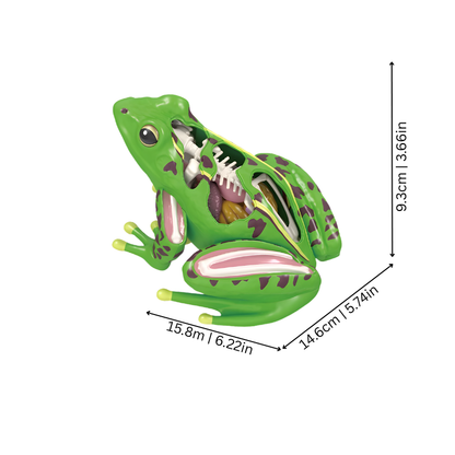 FrogScope