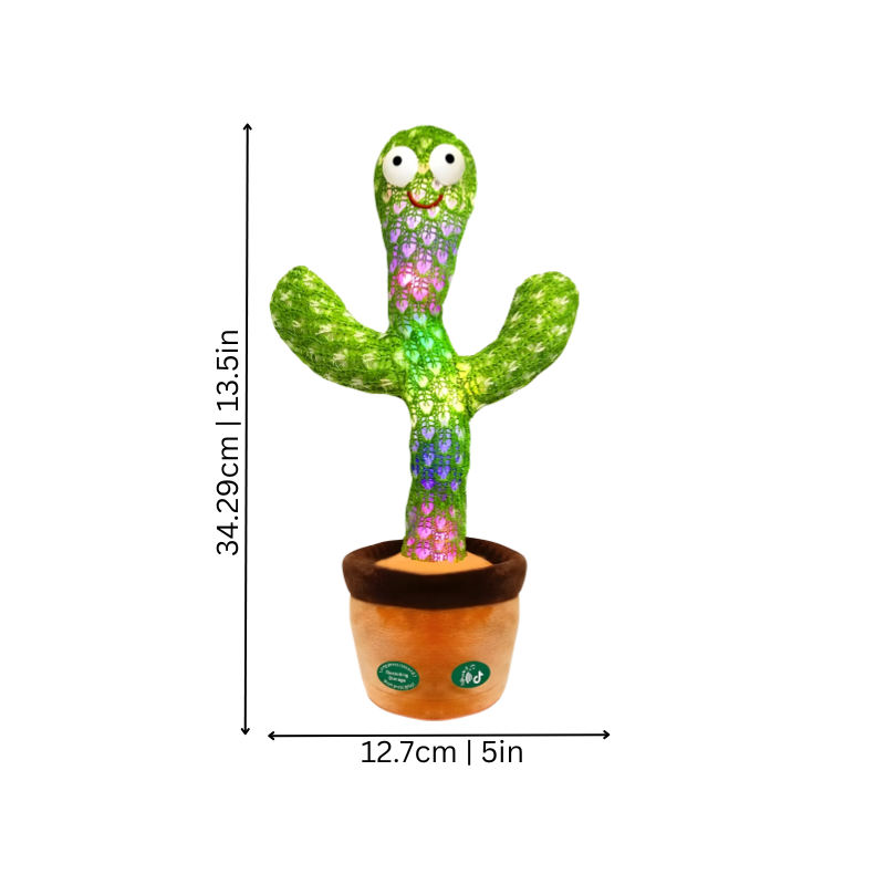 GroovyCactus