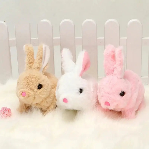 HoppyPal – Jackie's Kids