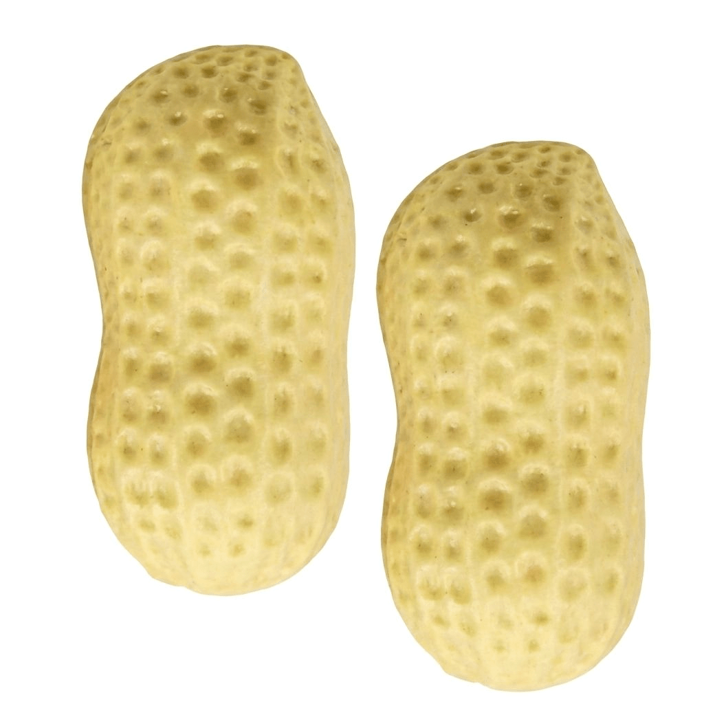 NutSqueeze